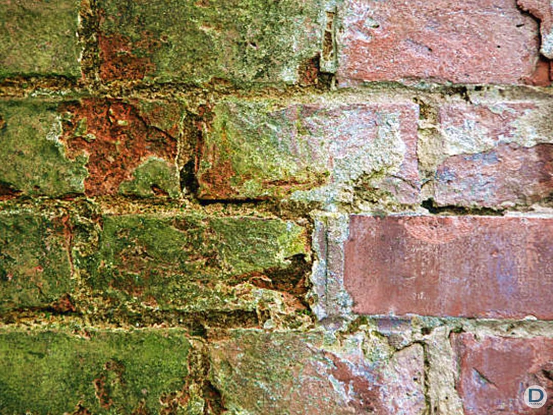 traitement tache blanche salpêtre lichen mousse façades liège brabant wallon